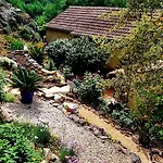 Quinta Do Cabril * Serpins