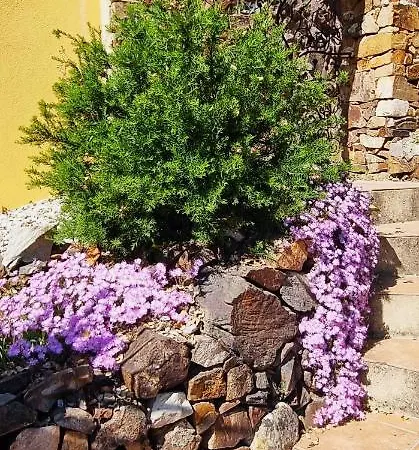 Quinta Do Cabril