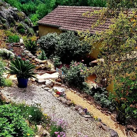 Quinta Do Cabril * Serpins