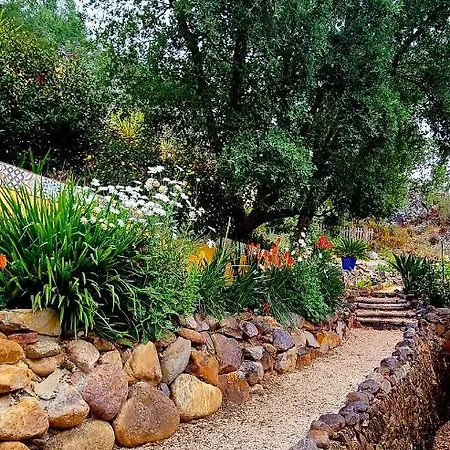 Quinta Do Cabril Serpins