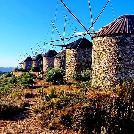 Quinta Do Cabril *