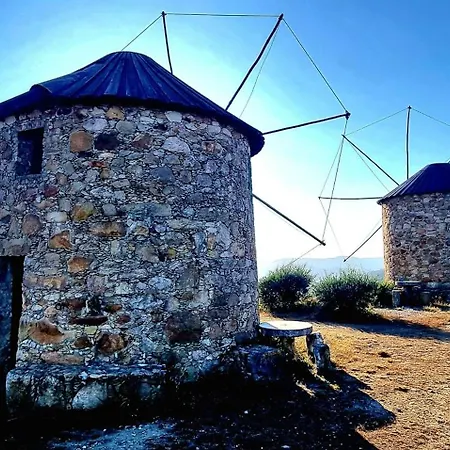 Quinta Do Cabril * Serpins