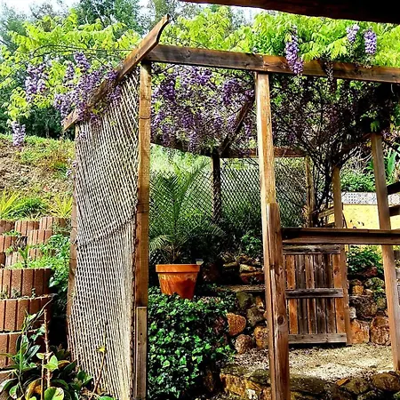 Quinta Do Cabril *