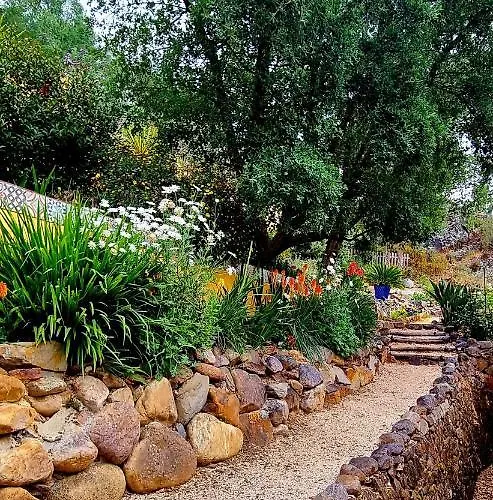 Quinta Do Cabril Serpins