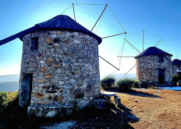 Quinta Do Cabril * Serpins